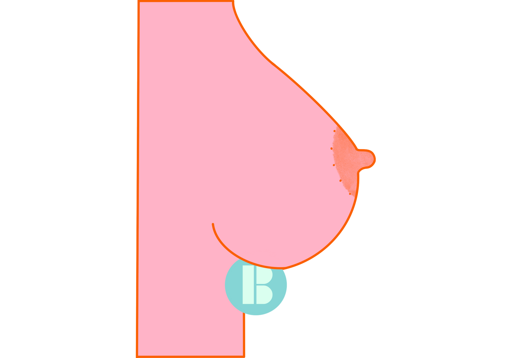 Illustration of breast elevated while using The Buddy